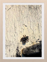 Load image into Gallery viewer, 0322 Itsy-Bitsy Spider