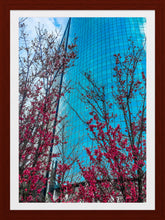 Load image into Gallery viewer, 0010 Downtown Beauty