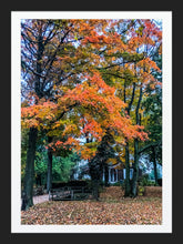 Load image into Gallery viewer, 0563 Autumn Retreat