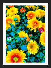 Load image into Gallery viewer, 0162 Bright Blossoms