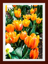 Load image into Gallery viewer, 0044 Bed of Orange