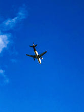 Load image into Gallery viewer, 0533 Flying High