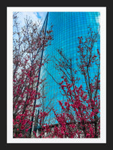 Load image into Gallery viewer, 0010 Downtown Beauty