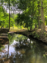 Load image into Gallery viewer, 0515 Tranquil Waters