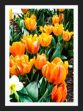 Load image into Gallery viewer, 0044 Bed of Orange