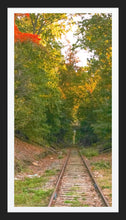 Load image into Gallery viewer, 0566 Abandoned Tracks