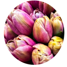 Load image into Gallery viewer, 0466 Pink Tulips