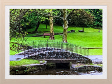 Load image into Gallery viewer, 0288 Little Bridge