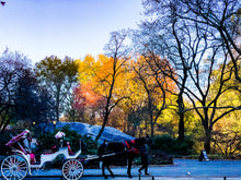 Load image into Gallery viewer, 0460 Your Carriage Awaits