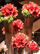 Load image into Gallery viewer, 0509 Pops Of Deep Orange