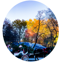 Load image into Gallery viewer, 0460 Your Carriage Awaits