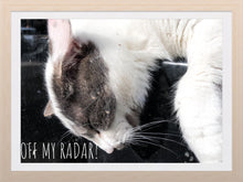 Load image into Gallery viewer, 0307 OMR