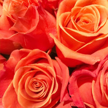 Load image into Gallery viewer, 0475 Orange Roses