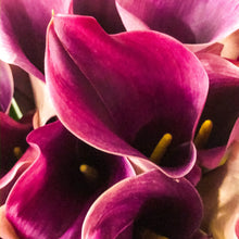 Load image into Gallery viewer, 0446 Pink Callas