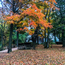 Load image into Gallery viewer, 0563 Autumn Retreat