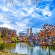 Load image into Gallery viewer, 0617 Central Park In Fall