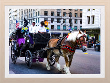 Load image into Gallery viewer, 0304 Horse Carriage