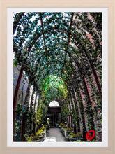Load image into Gallery viewer, 0376 Green Walkway