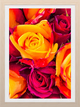 Load image into Gallery viewer, 0618 Fiery Roses