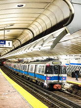 Load image into Gallery viewer, 0622 Blue Line