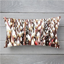 Load image into Gallery viewer, 0485 Beautiful Pussy Willow