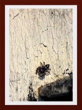 Load image into Gallery viewer, 0322 Itsy-Bitsy Spider