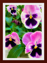 Load image into Gallery viewer, 0302 We Four Hombres!