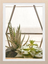 Load image into Gallery viewer, 0457 Succulent Haven