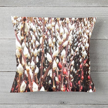 Load image into Gallery viewer, 0485 Beautiful Pussy Willow