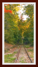 Load image into Gallery viewer, 0566 Abandoned Tracks