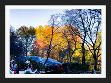 Load image into Gallery viewer, 0460 Your Carriage Awaits