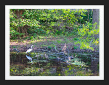 Load image into Gallery viewer, 0500 Lone Egret