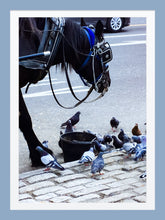 Load image into Gallery viewer, 0378 Lunchtime