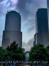 Load image into Gallery viewer, 0345 Garden In The Middle