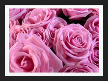 Load image into Gallery viewer, 0453 Stunning Pink Roses