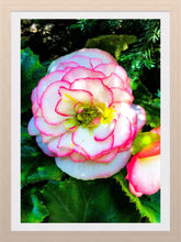 Load image into Gallery viewer, 0300 May's Flower