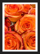 Load image into Gallery viewer, 0182 Orange Roses