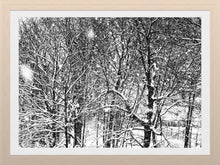 Load image into Gallery viewer, 0571 Winter's Work Of Art
