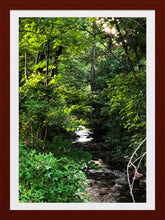 Load image into Gallery viewer, 0352 Through The Woods