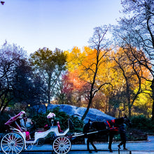 Load image into Gallery viewer, 0460 Your Carriage Awaits
