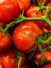 Load image into Gallery viewer, 0414 Tomatoes On The Vine
