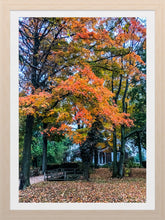 Load image into Gallery viewer, 0563 Autumn Retreat