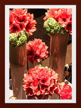 Load image into Gallery viewer, 0509 Pops Of Deep Orange