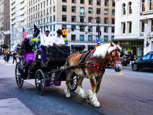 Load image into Gallery viewer, 0304 Horse Carriage
