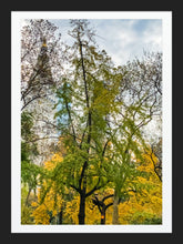 Load image into Gallery viewer, 0183 Autumn In The Park