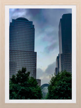 Load image into Gallery viewer, 0345 Garden In The Middle