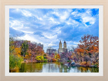 Load image into Gallery viewer, 0617 Central Park In Fall