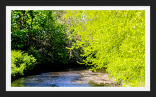 Load image into Gallery viewer, 0496 Down The Creek