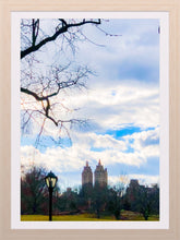 Load image into Gallery viewer, 0227 East Central Park