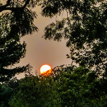 Load image into Gallery viewer, 0545 There Goes The Sun